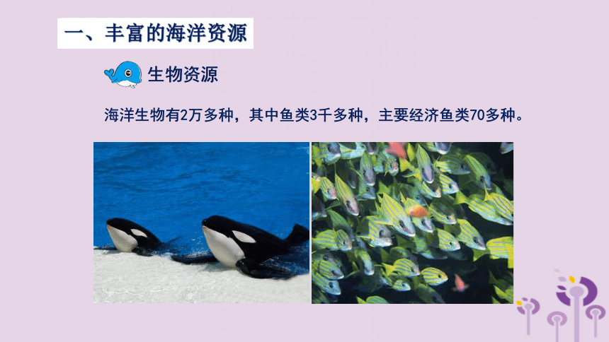 （新版）湘教版八年级地理上册第三章第四节中国的海洋资源课件(25张PPT)