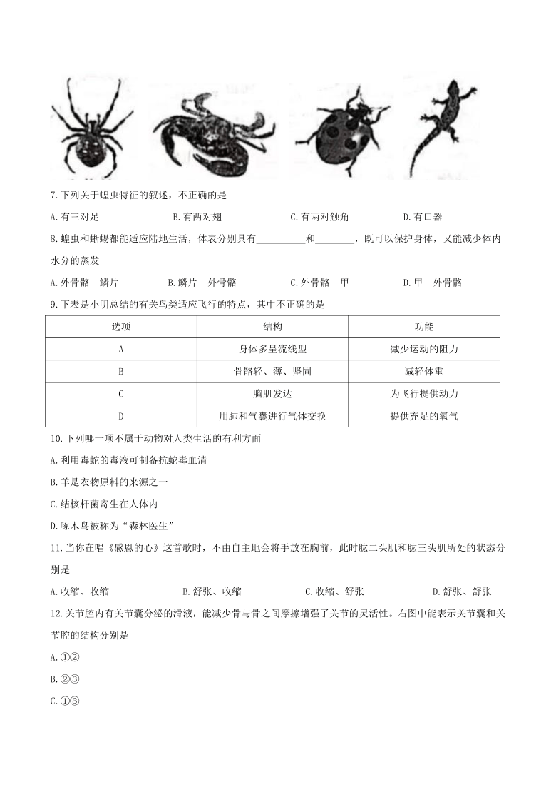 陕西省咸阳市乾县2020-2021学年八年级上学期期末生物试题（word版 含答案）