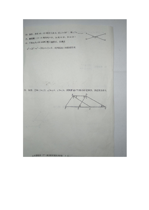 湖南省邵阳市新宁县2018-2019学年七年级（下）素质教育期末检测题数学扫描版无答案