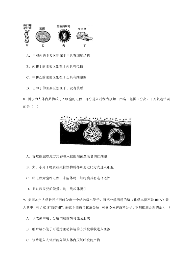 浙江省宁诺附中2020-2021学年高二10月月考生物试题