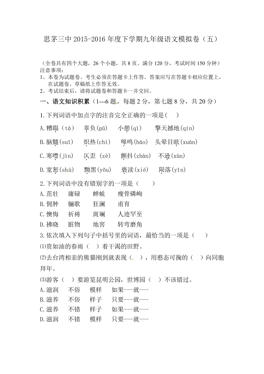 云南省普洱市思茅第三中学2016届九年级学业水平考试模拟考试（五）语文试题