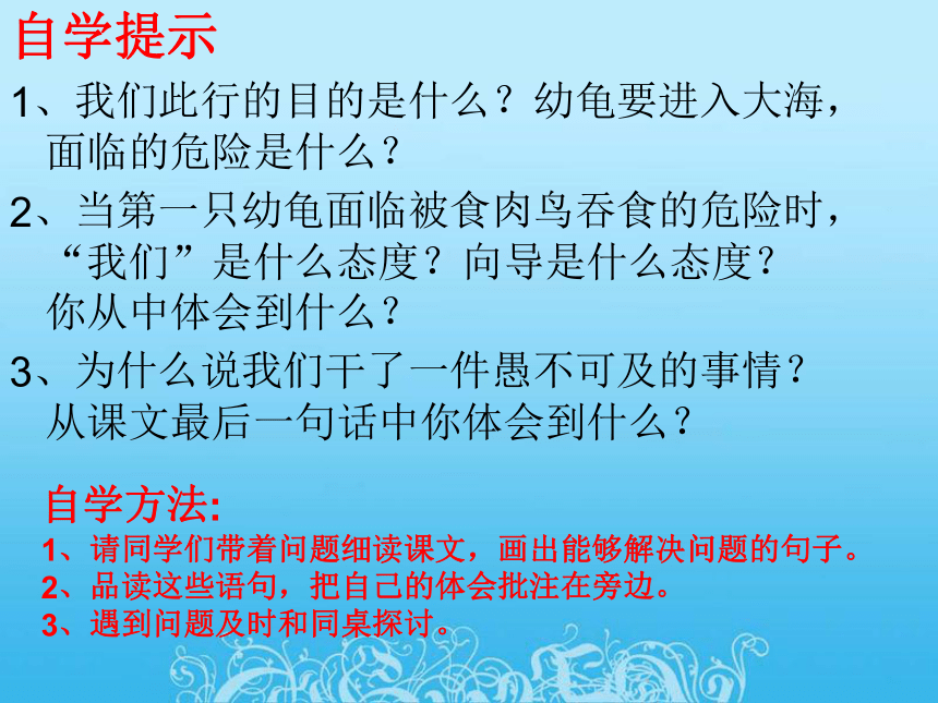 语文五年级上西师大版7.26《自然之道》课件3