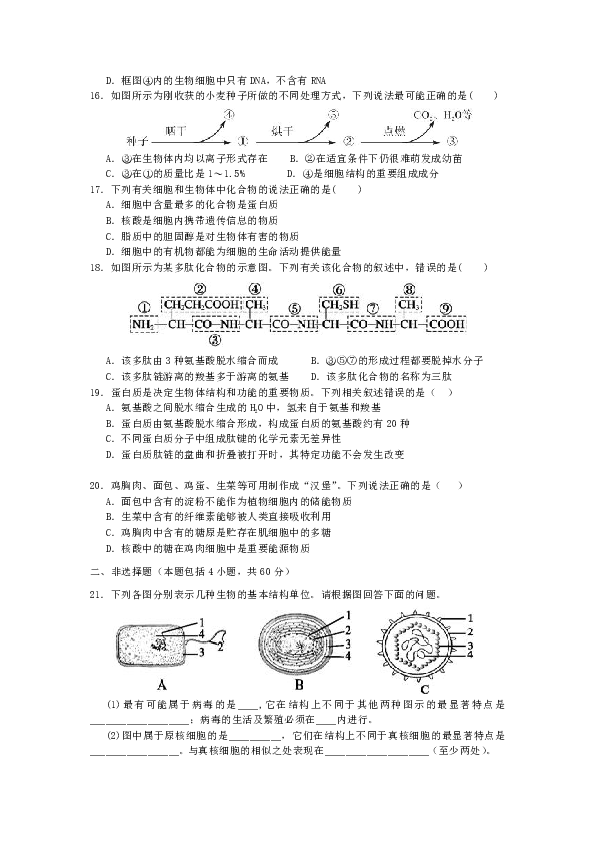 广东省湛江市第一中学2018-2019学年高一上学期第一次大考试题 生物