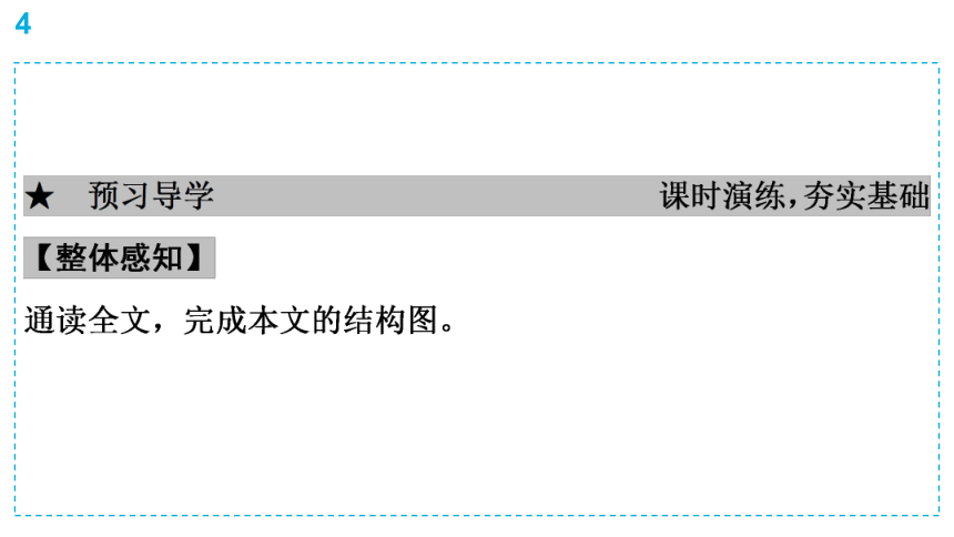 4.　灯笼 习题 课件（共38张PPT）