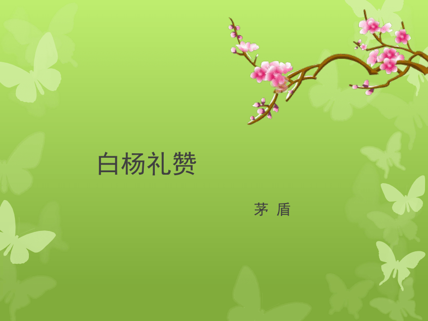 15《白杨礼赞》课件（25张PPT)