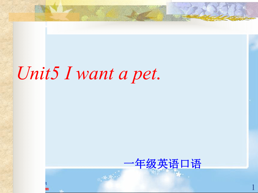 广州版（一起）一年级英语下册课件Unit 5 I want a pet 第一课时 课件（17张PPT，无素材）