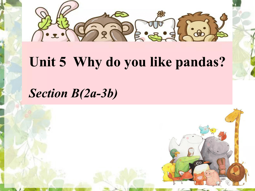 Unit 5 Why Do You Like Pandas? Section B(2a-3b) 课件21张-21世纪教育网