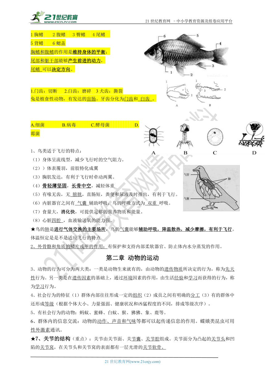 2017-2018学年广东省人教版新课程标准生物会考复习提纲（八年级上册）