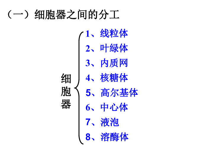 人教版必修一生物第三章第二節細胞器系統內的分工合作共30張ppt