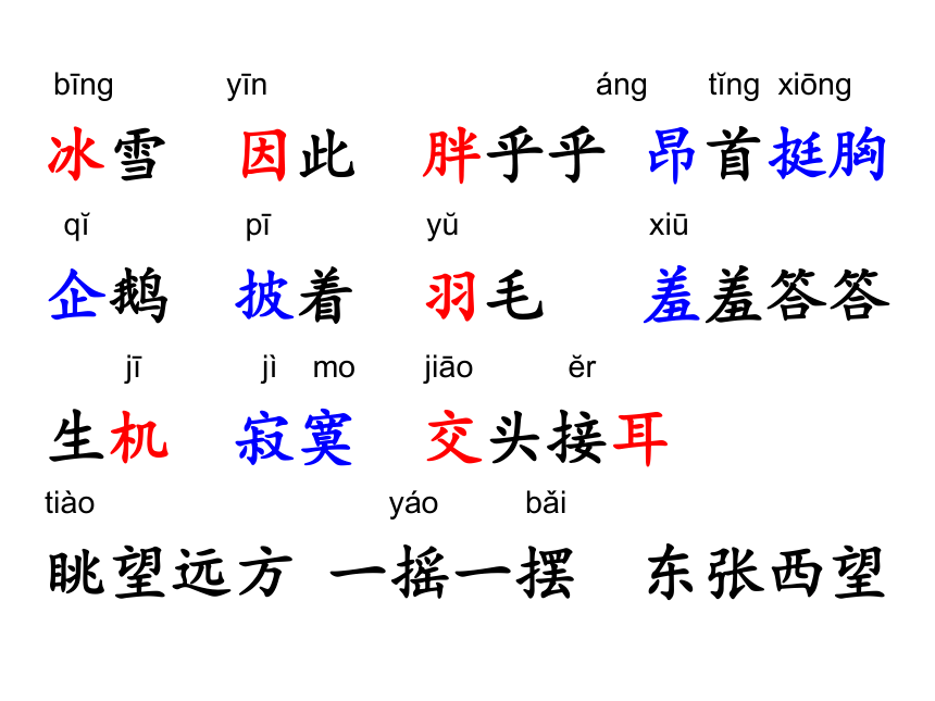 15南极的主人课件