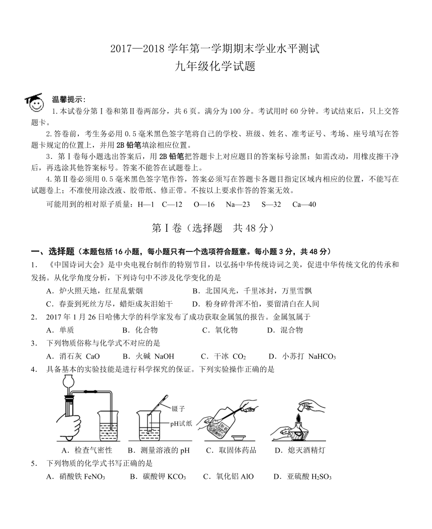 山东省滨州市2017-2018学年度九年级上期末学业水平测试化学试题