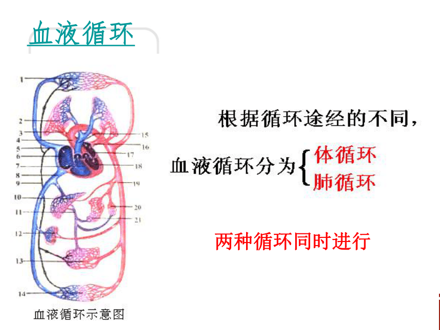 人体是如何维持内环境的稳定