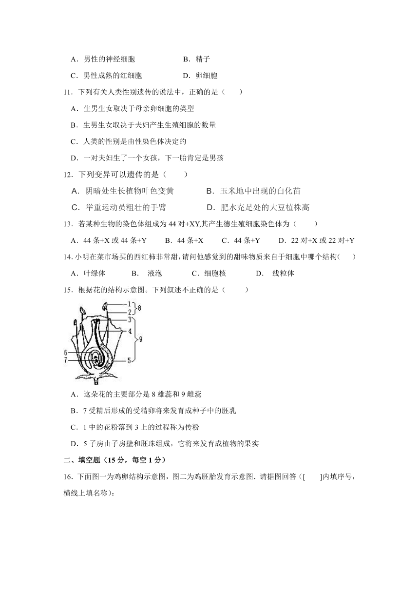 江西省鄱阳县二中2016-2017学年八年级下学期期中考试生物试卷