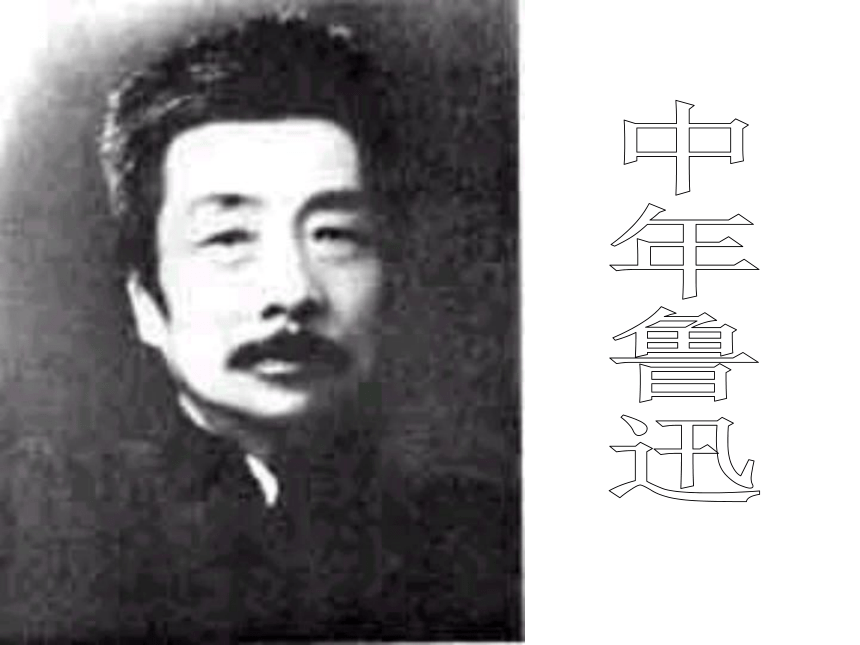 苏教版七年级语文下册5从百草园到三味书屋课件 （共48张PPT）