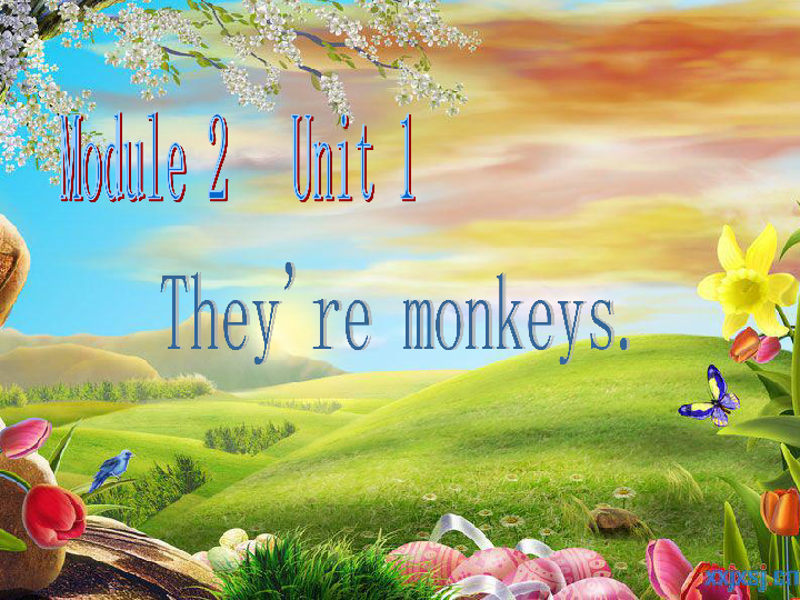 Module 2 Unit 1 They're monkeys.课件（22张PPT）