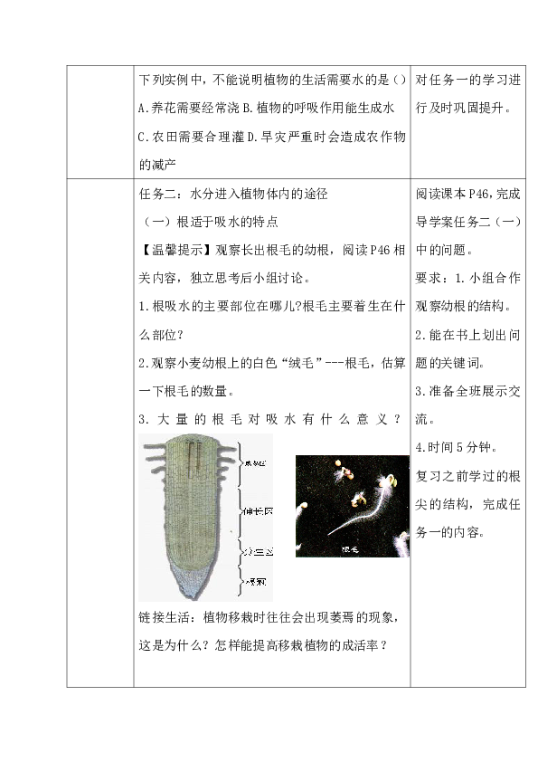 鲁科五四学制版六年级生物下册第三单元第三章《第一节 水分进入植物体内的途径》教学设计