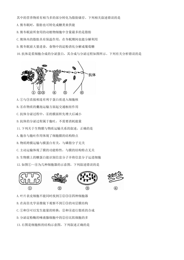 黑龙江省齐齐哈尔市2020-2021学年高一上学期期末考试生物试题  含答案