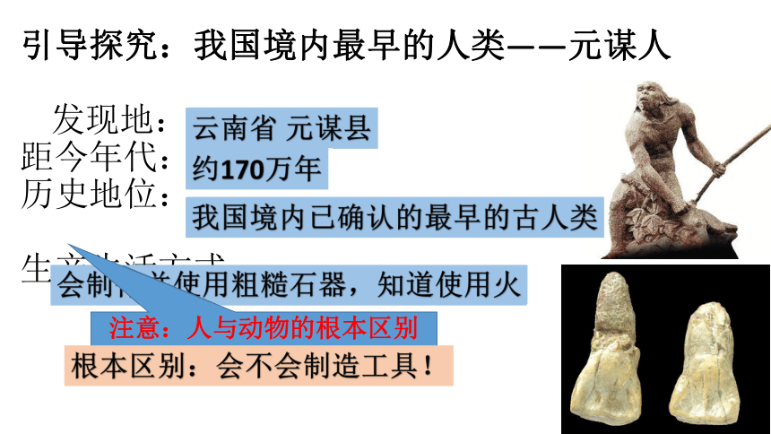 人教版七上第1课 中国早期人类的代表——北京人 课件（15张）