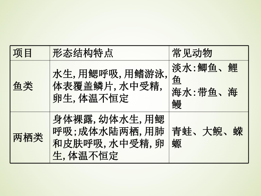 浙教版九年级科学中考复习课件：生物和构成生物的结构层次