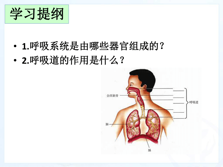 2017-2018学年七年级生物人教版下册教学课件：第3章第1节 呼吸道对空气的处理(共44张PPT)