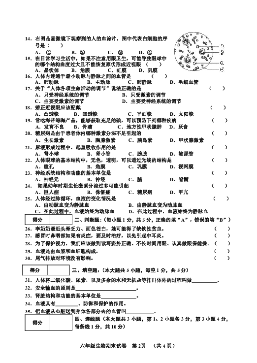 2019-2020学年下学期黑龙江省哈尔滨香坊区六年级生物试卷（pdf版，无答案）