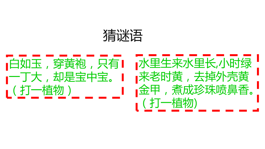 《原始农耕生活》课件(共57张PPT)