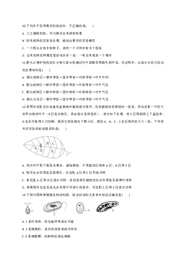 广东省湛江市霞山职业高级中学2019-2020学年第二学期七年级生物开学考试试题（word版含答案）