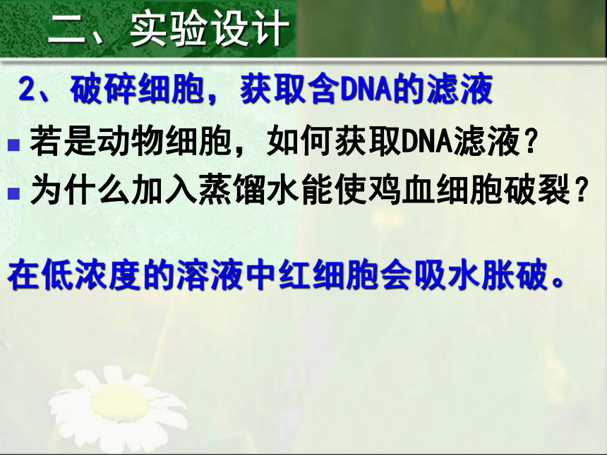 DNA的粗提取与鉴定