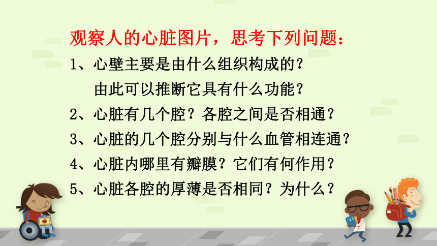 人教版七年级生物下册4.4.3输送血液的泵—心脏 课件 (共33张PPT)