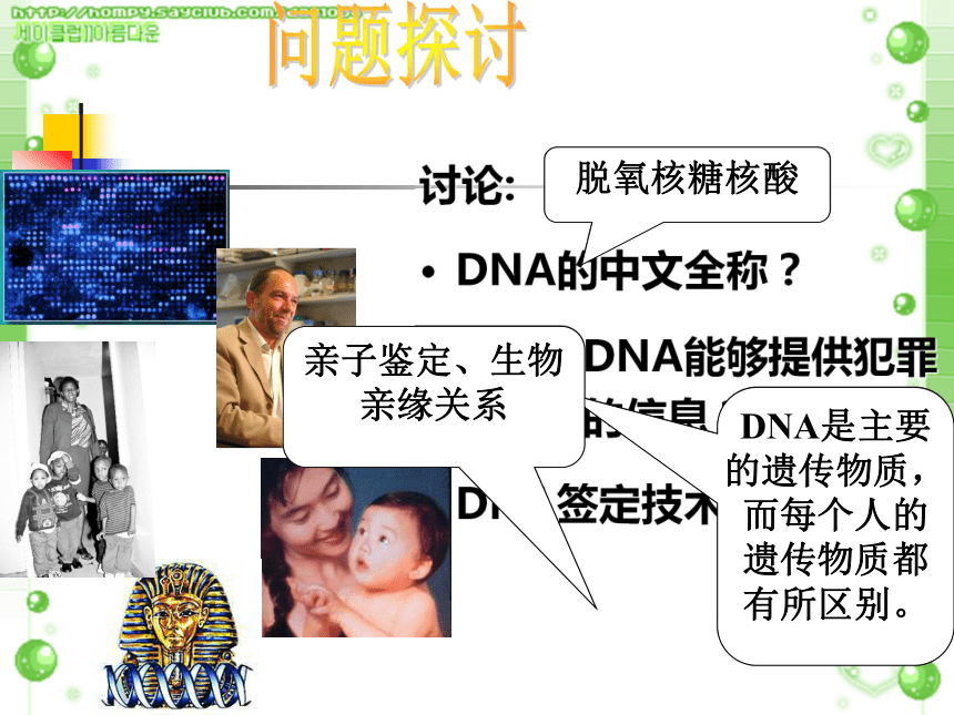 人教版高中生物必修一第二章第三节遗传信息的携带者--核酸