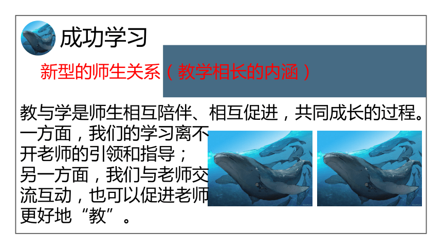 6.2 师生交往 课件（20张幻灯片）