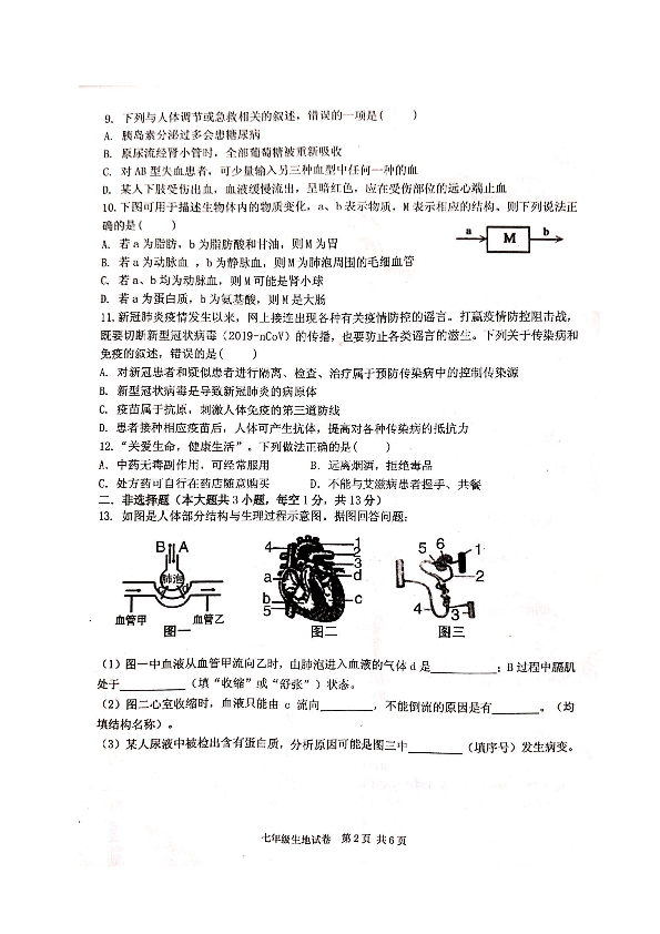江西省宜春市2019-2020学年七年级下学期期末考试生物试题（扫描版 含答案）