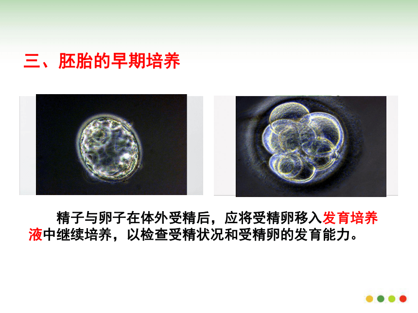 &选修三3.2体外受精和早期胚胎培养（备用）(共37张PPT）