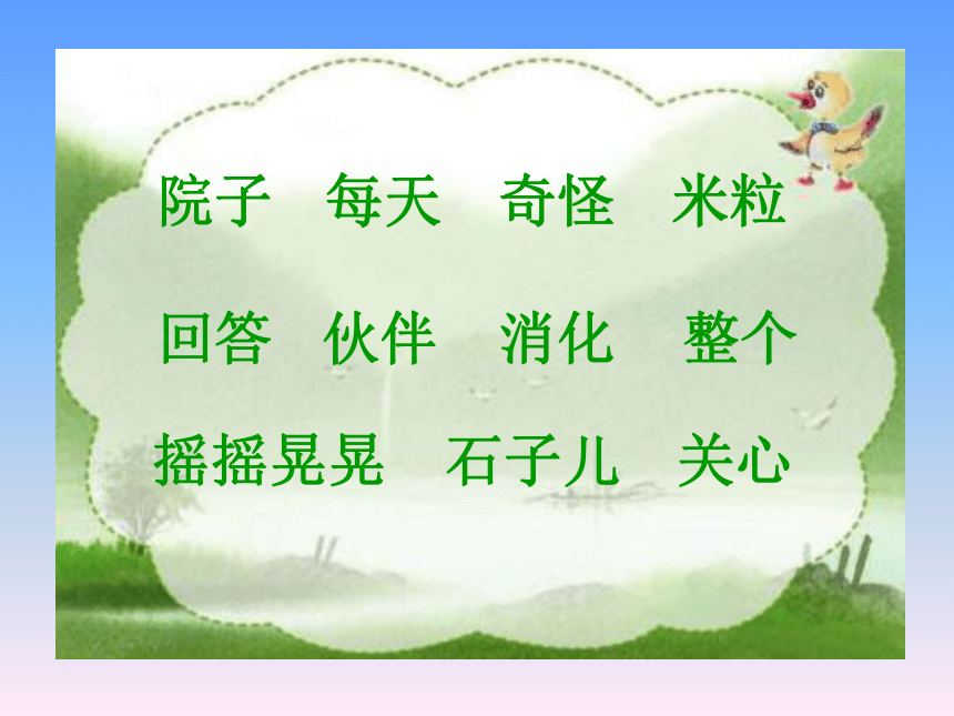 小鸭子的问号   课件