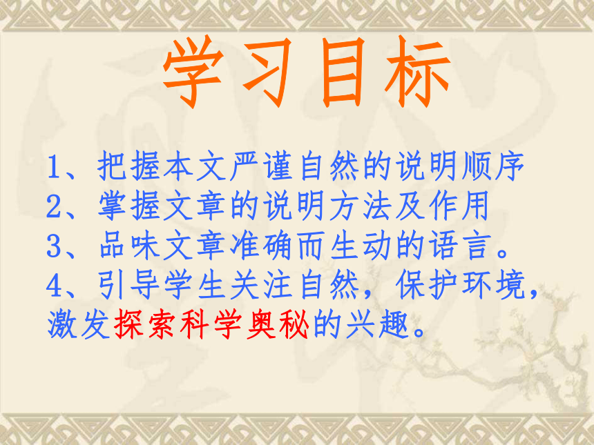 花儿为什么这样红