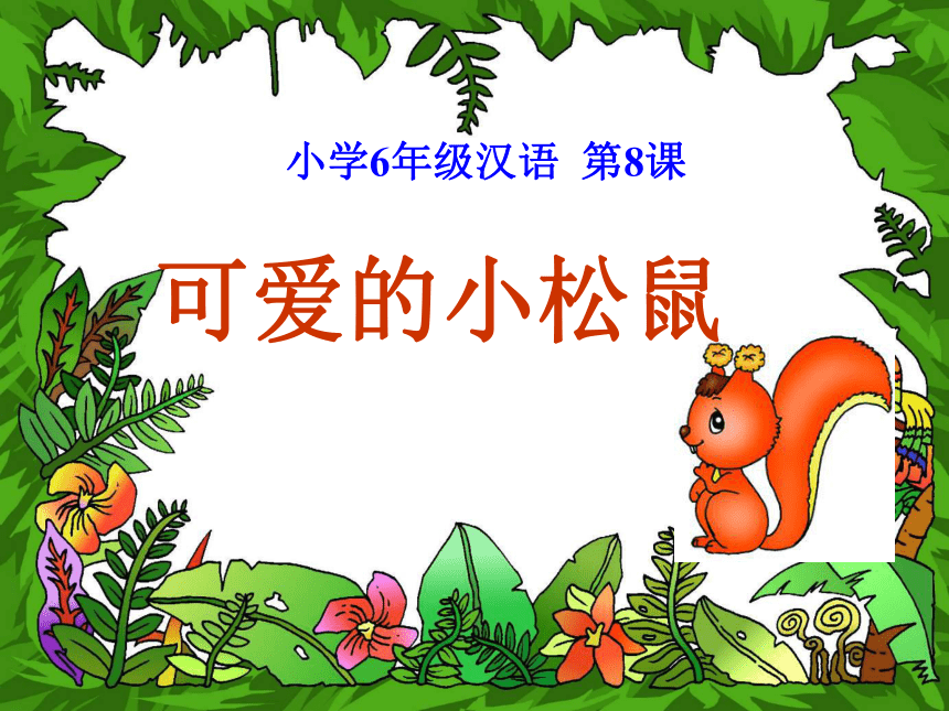 语文六年级下新教版（汉语）8《乖巧的小松鼠》课件（12张）