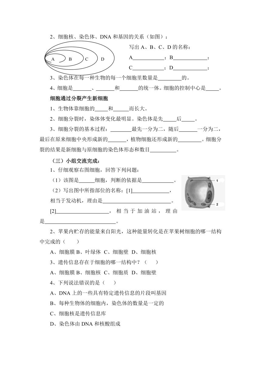 细胞的生活复习学案