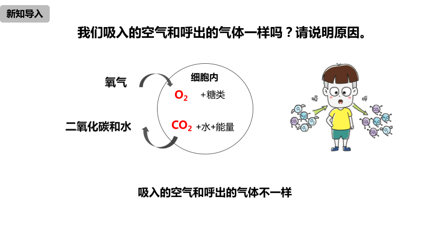 1.2.2 化学是一门以实验为基础的科学（课件29页)