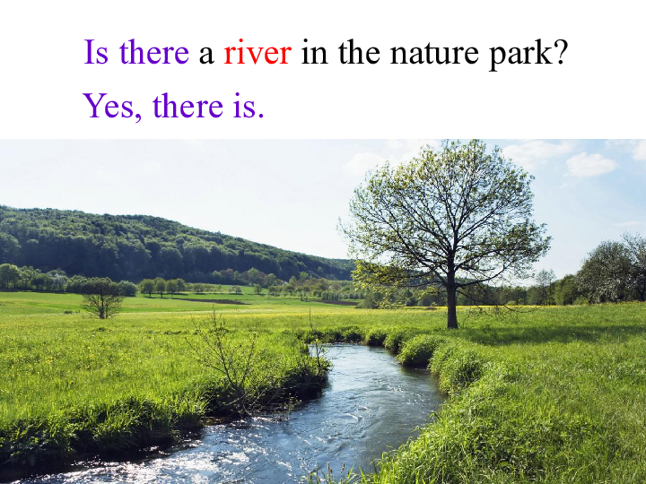 Unit 6 In a nature park PA  let’s learn 课件(共34张PPT)
