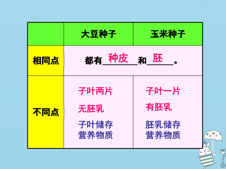 3.2.1种子的萌发 课件（18张PPT）