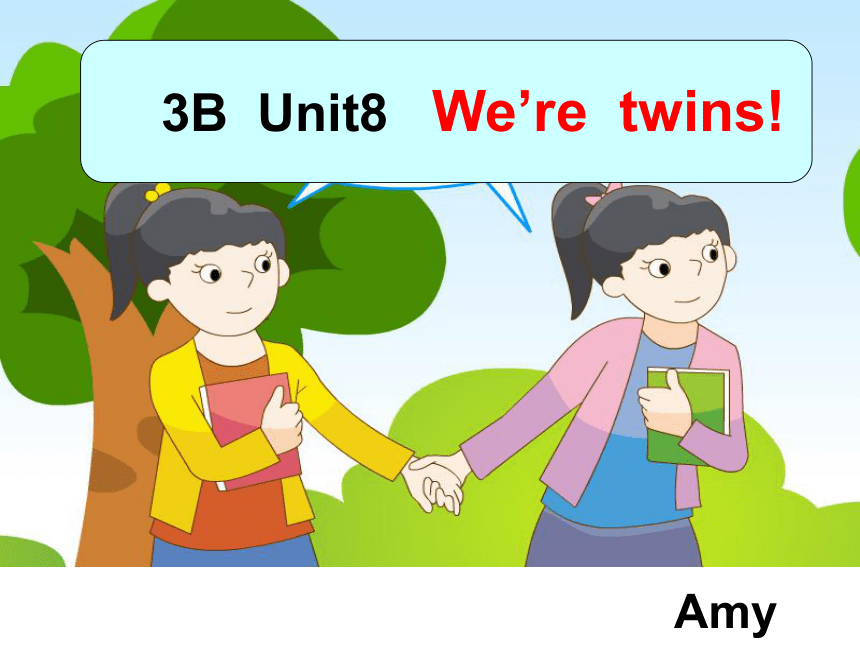 Unit 8 We're twins! 课件