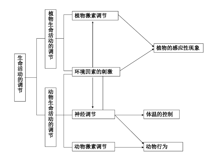 植物生命调节思维导图图片