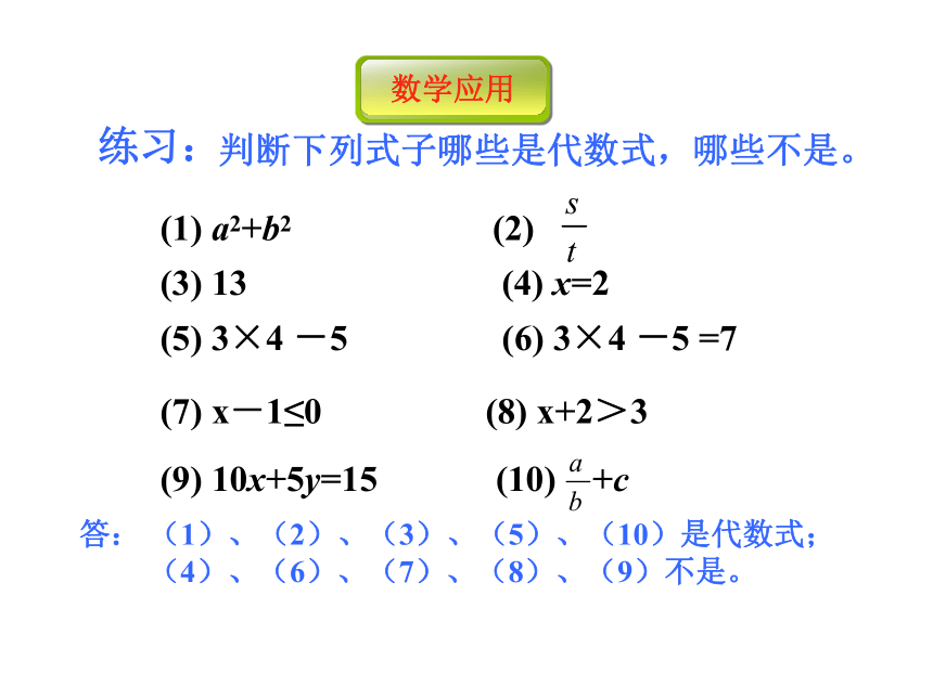 数学七年级上青岛版5.2代数式课件5