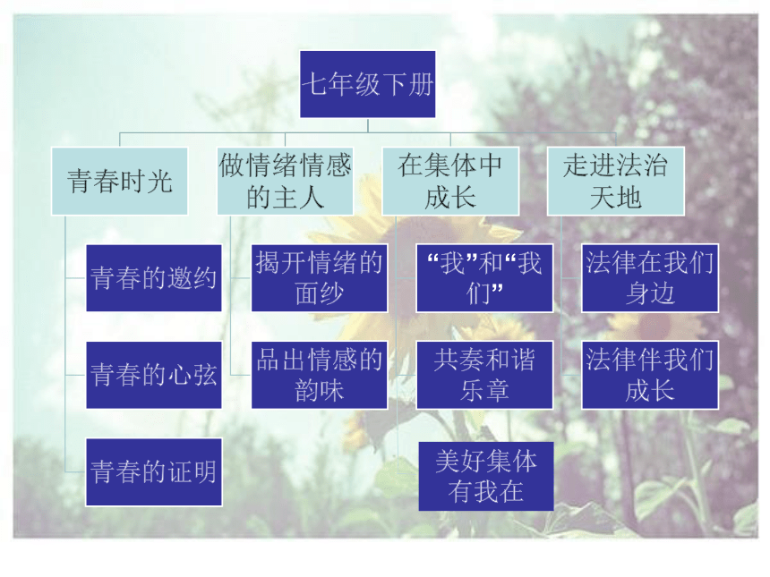 1.1《悄悄变化的我》课件（19张PPT）