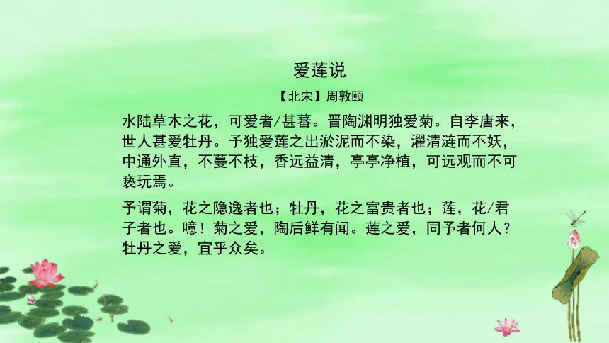 17短文两篇爱莲说课件共21张ppt