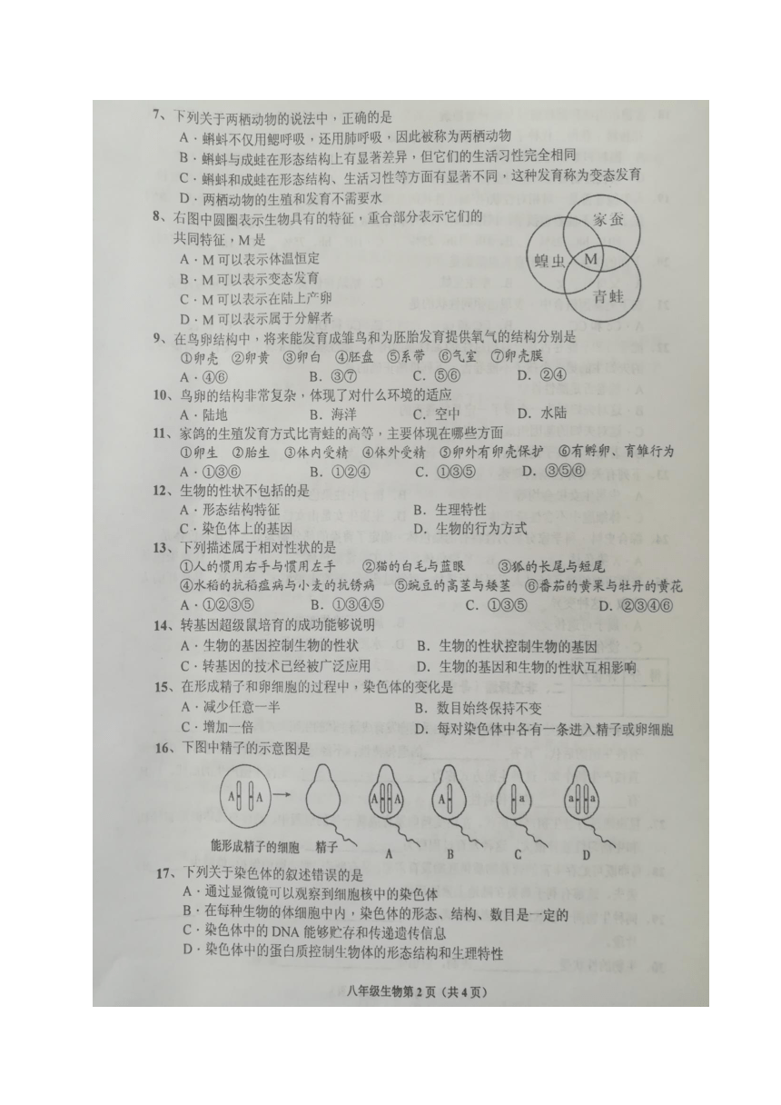 湖北省丹江口市2017-2018学年八年级下学期期中考试生物试题（图片版，含答案）