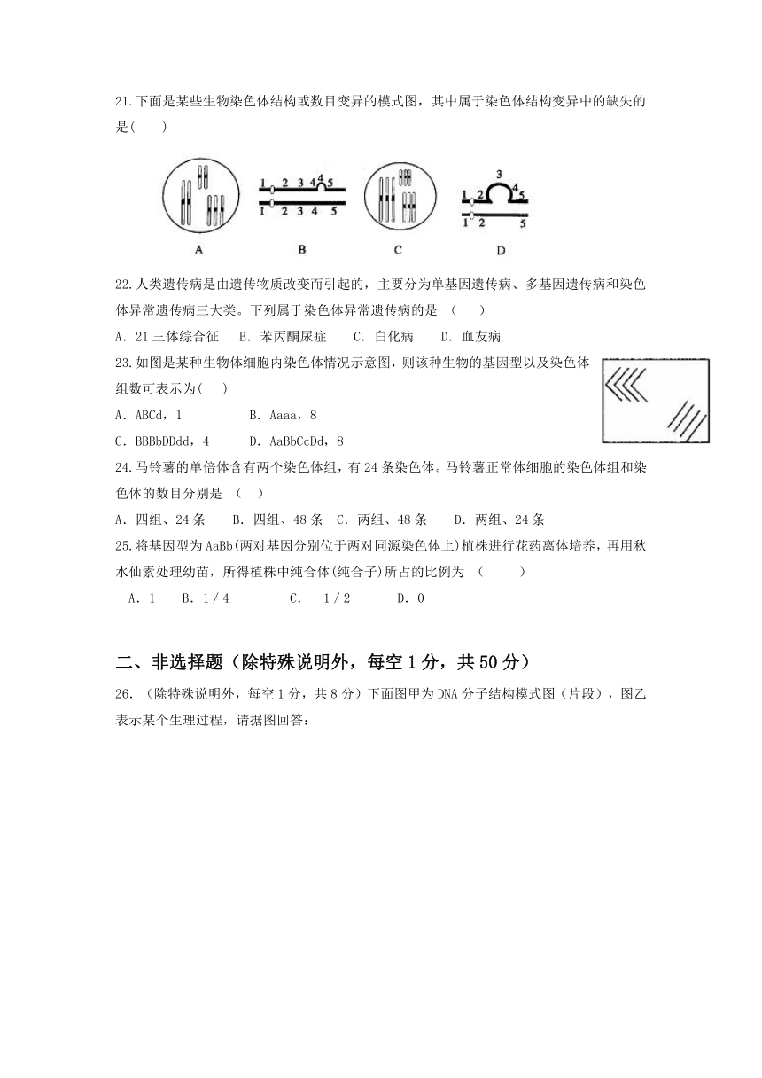 山东省淄博市淄川中学2017-2018学年高一下学期期中考试生物试题