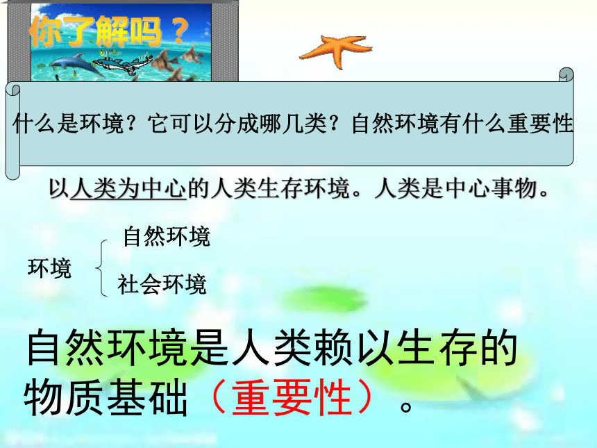 8.3 共同关注的环境问题(精编版） 课件