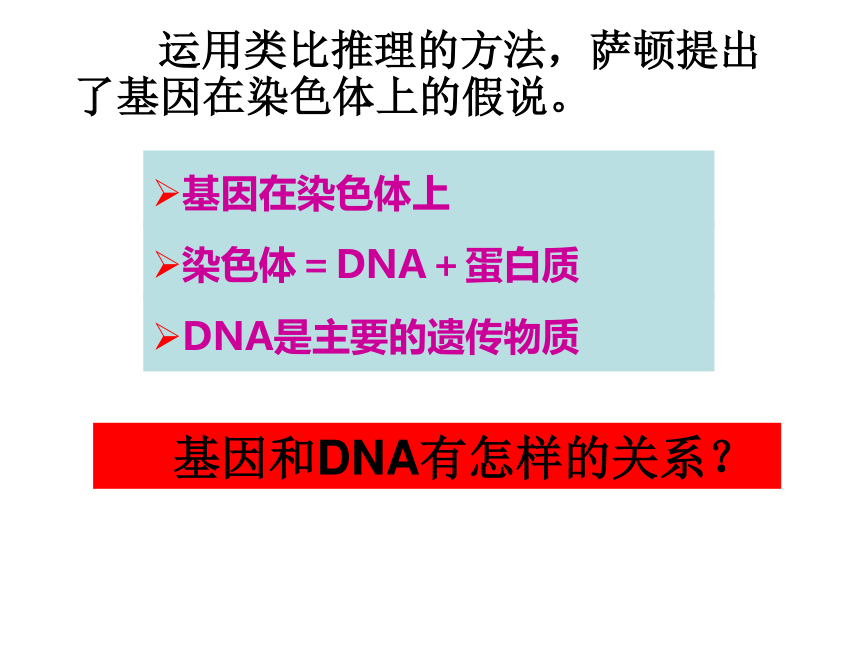 高中生物人教版必修2第三章第4节 基因是有遗传效应的DNA片段  课件（28张）