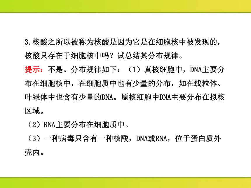 高中生物课时讲练通配套课件：2.2.3《核酸的结构和功能》（苏教版必修1）